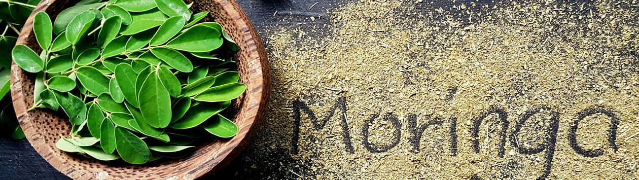 עלי מורינגה - Moringa oleifera